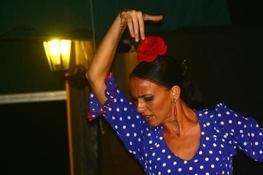 sevillana Eva 2012 (Copy)