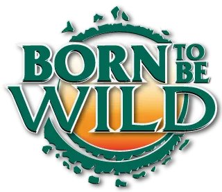 Born to be wild